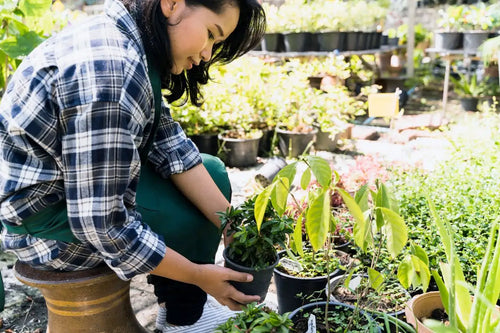 How to Start and Plant a Garden: The Complete Guide for Beginners