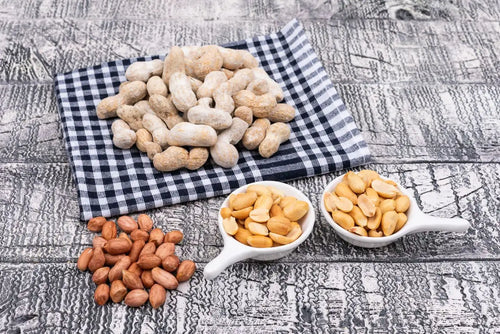 Which Animals Eat Peanuts: Which Wildlife to Feed and How to Do It Safely