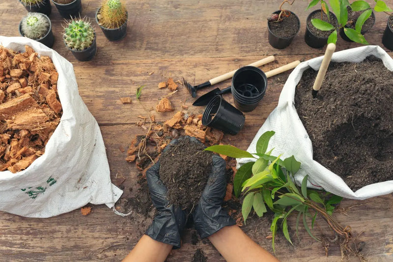 Compost 101: What It Is, How It Works, and How to Use It in Gardens
