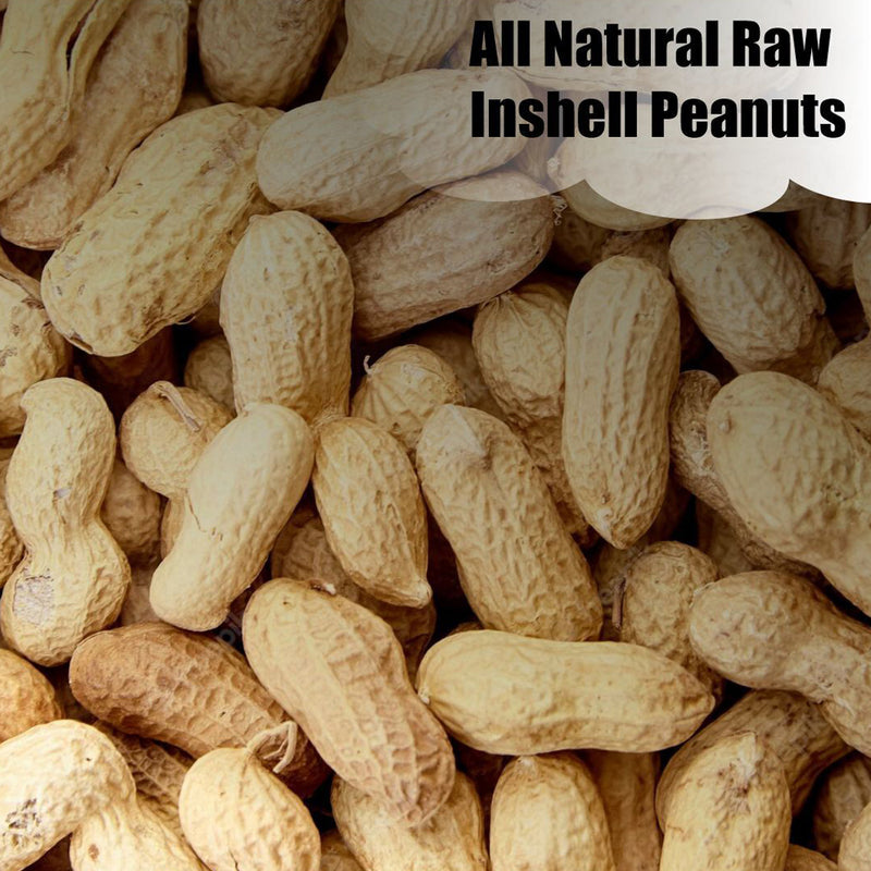 Old Potters Wildlife In-Shell Peanuts for Birds, Squirrels, and Wildlife. USA Grow, Non-GMO, In-Shell Peanuts.