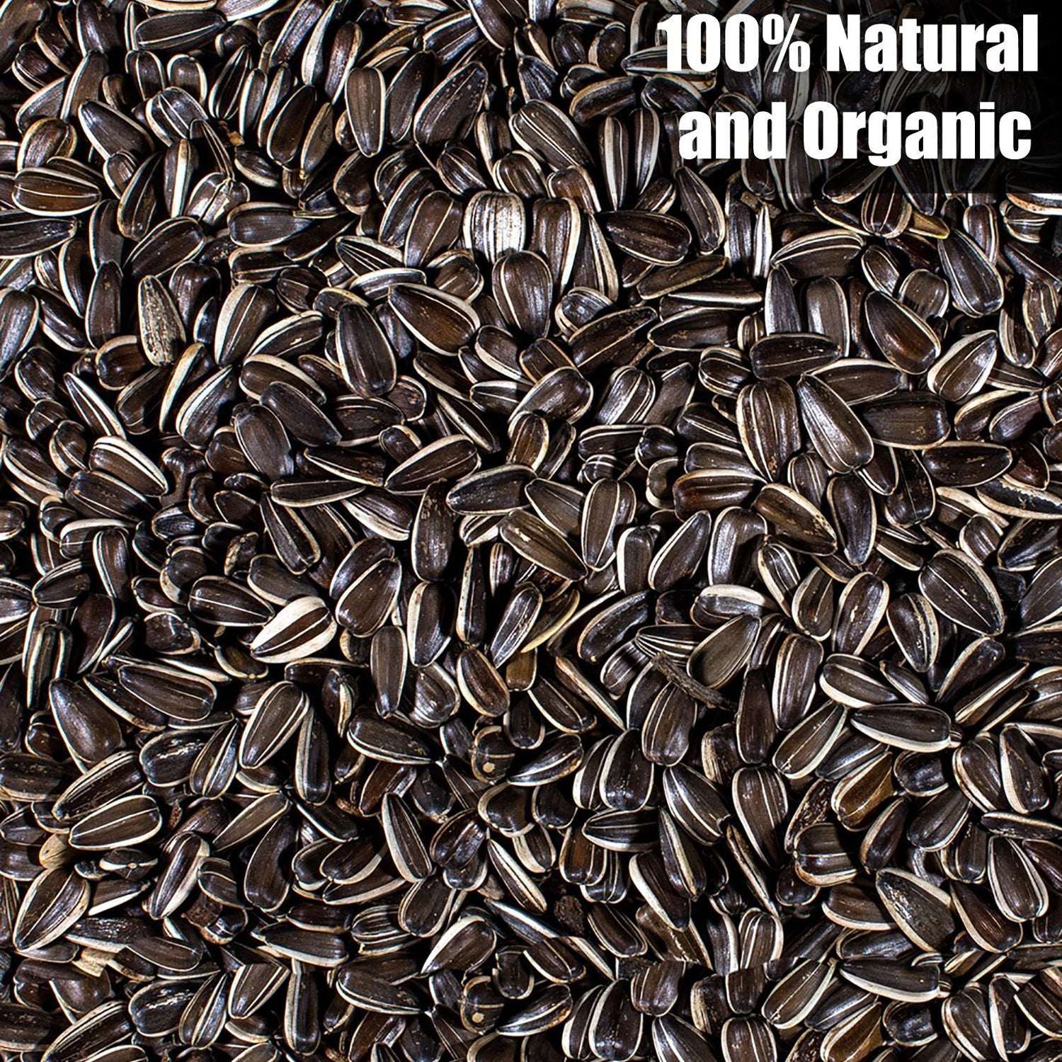 striped sunflower seeds for planting Old Potters Wildlife Striped Sunflower Seeds for Birds and Wildlife, Non-GMO & USA Grown, Organic, Small Farm, Size: 6 lbs
