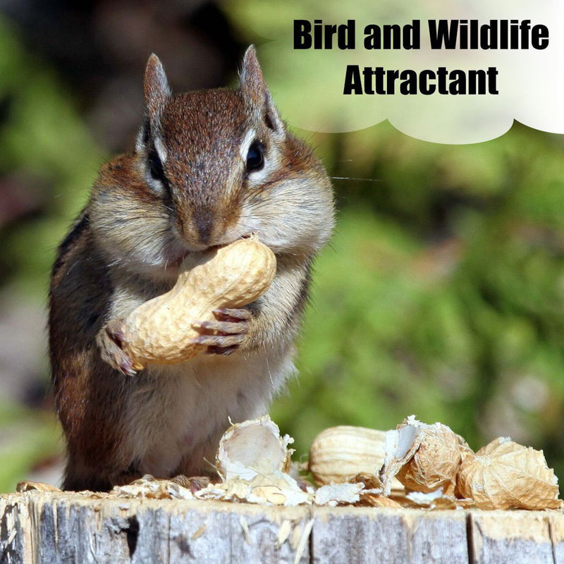 Old Potters Wildlife In-Shell Peanuts for Birds, Squirrels, and Wildlife. USA Grow, Non-GMO, In-Shell Peanuts.