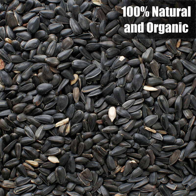 Old Potters Wildlife Black Oil Sunflower Seeds, For Birds and Wildlife, USA Grown Non-GMO.