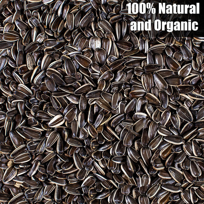 Old Potters Wildlife Striped Sunflower Seeds for Birds and Wildlife, Non-GMO & USA Grown.