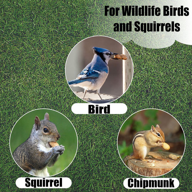 Old Potters Wildlife In-Shell Peanuts for Birds, Squirrels, and Wildlife. USA Grow, Non-GMO, In-Shell Peanuts.