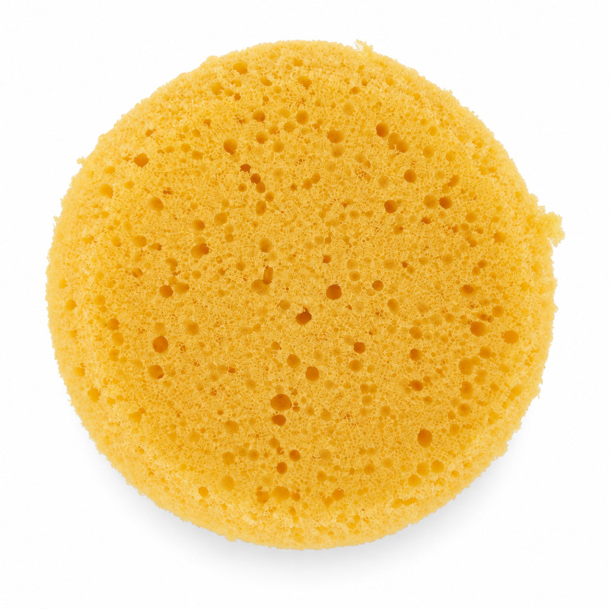 Kemper SPR Replacement Pottery Sponge - tool front