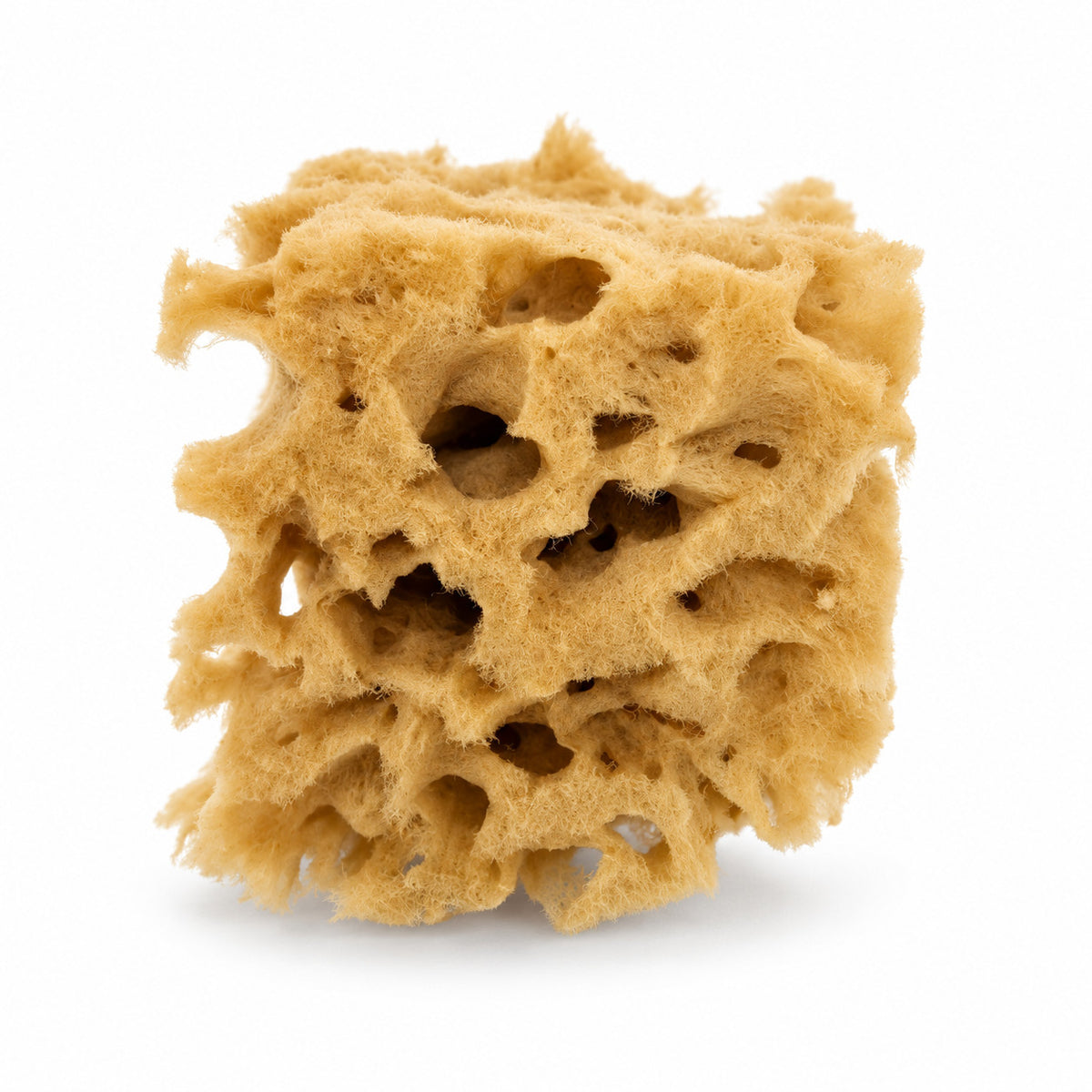 Kemper WSPG Wool Sea Pottery Sponge, 3 Inch - tool front