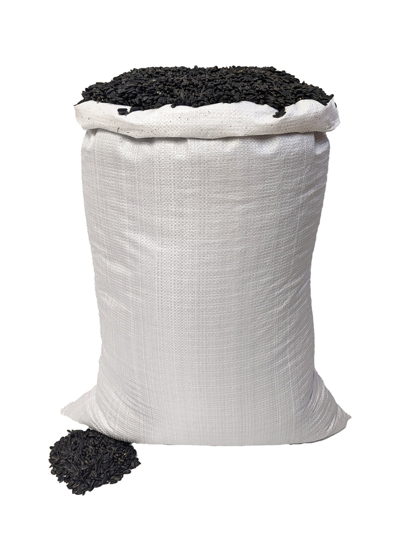 Old Potters Wildlife Black Oil Sunflower Seeds, For Birds and Wildlife, USA Grown Non-GMO.