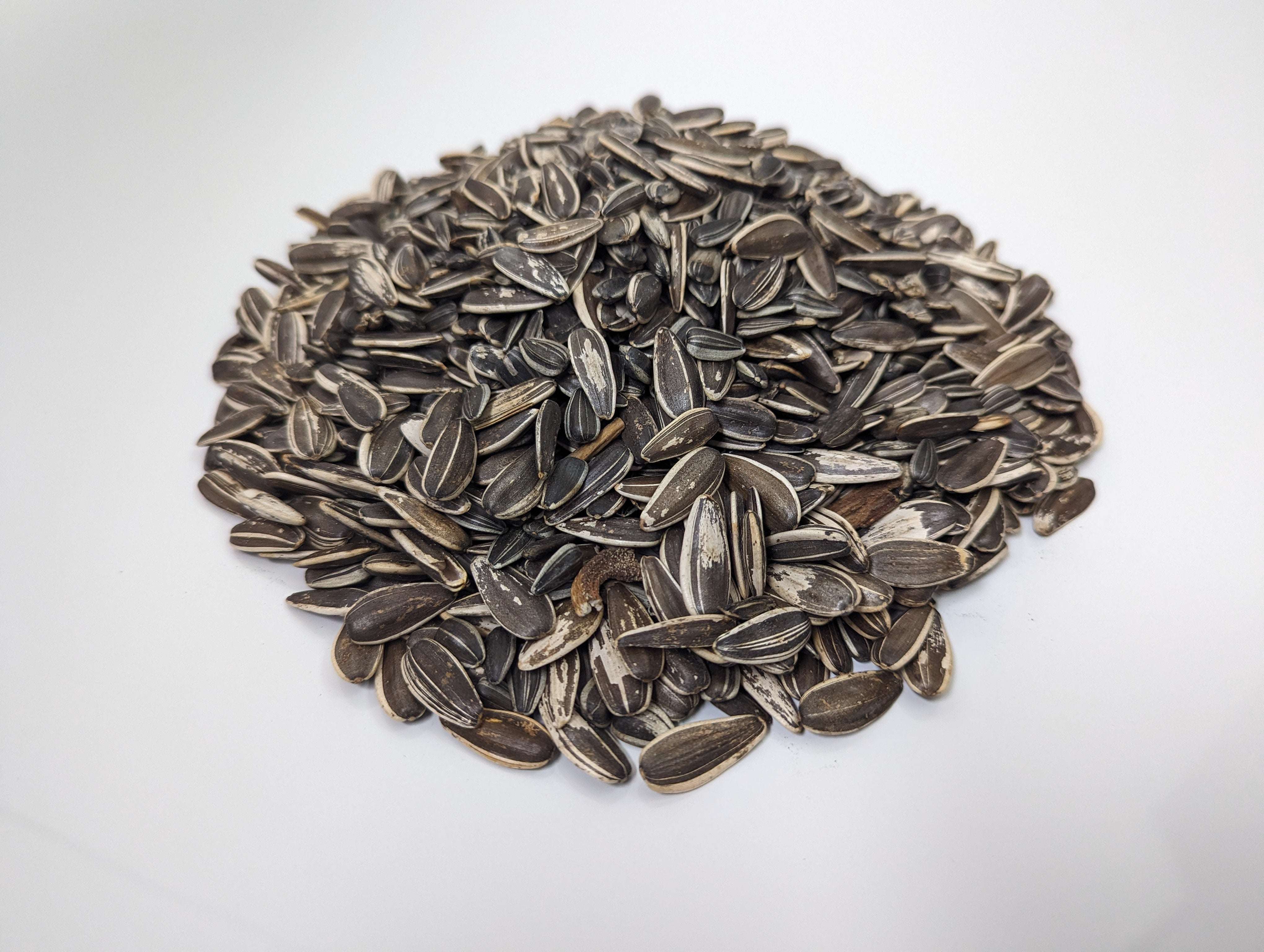 striped sunflower seeds for planting Old Potters Wildlife Striped Sunflower Seeds for Birds and Wildlife, Non-GMO & USA Grown, Organic, Small Farm, Size: 6 lbs