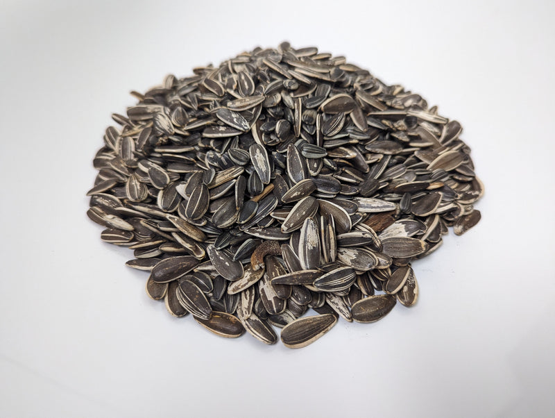 Old Potters Wildlife Striped Sunflower Seeds for Birds and Wildlife, Non-GMO & USA Grown.